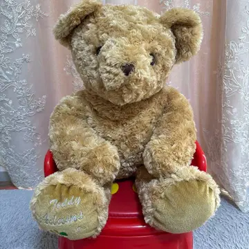 테디 애덤스 곰 봉제 인형