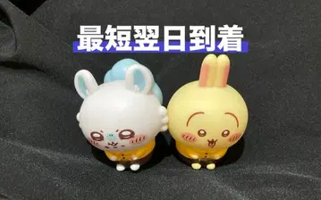 치이카와 코코스 토끼 치이카와 코코스 모몽가