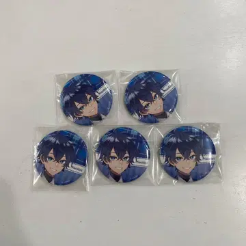 나오키리 씨 파라피치 캔뱃지 5개