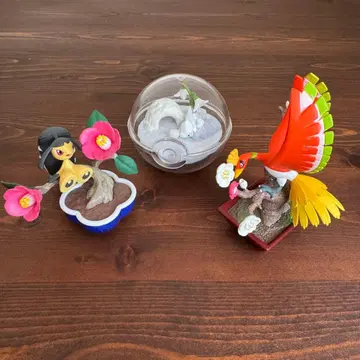 포켓 BONSAI & 테라리움 컬렉션