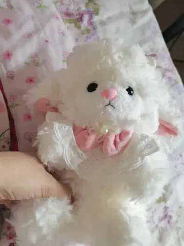 토끼 봉제 인형 화이트