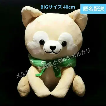 시바견 빅 봉제 인형 선물 콩시바 안기