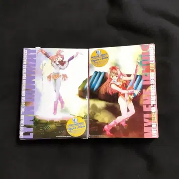 마크로스 밀레느 지너스 린 민메이 피규어 TOY BOOK 현 상태