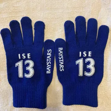 요코하마 DeNA 베이스타즈 장갑 이세 선수