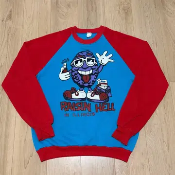 [레어] 80s USA제 캘리포니아 레이즌 투톤 맨투맨 XL 상당