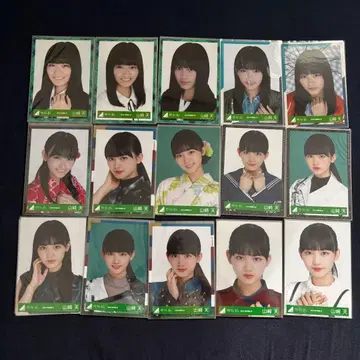 사쿠라자카46 브로마이드 야마자키 텐 컴프 묶음 판매