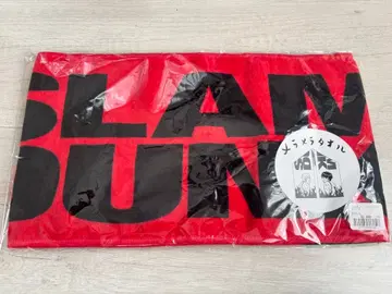 슬램덩크 메라메라 타월