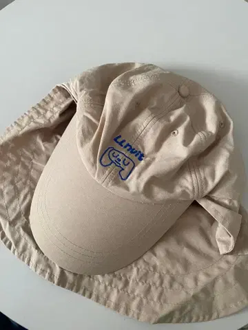 이누카와가코 캡