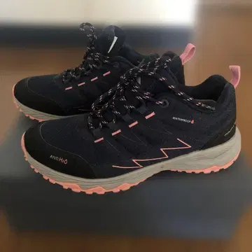 ANTHOO MOUNT 595 등산화 네이비/핑크