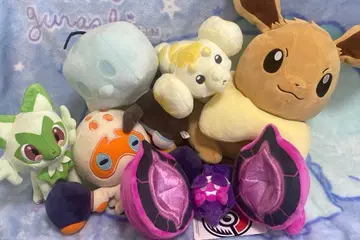 포켓몬 봉제 인형 세트 묶음 판매