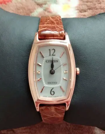 CITIZEN EXCEED 손목시계 엑시드 에코 드라이브