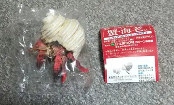 에포크 지구 생명 기행 게 새우 집게 사장 시크릿 컬러