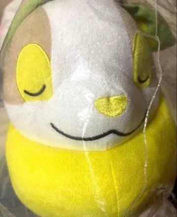 완파치 봉제 인형