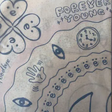 후지이 카제 Prema 반다나 미개봉 새상품