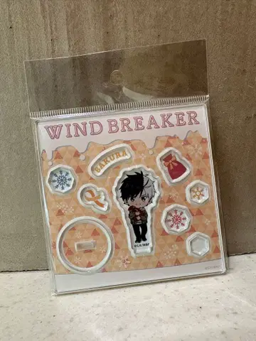 WIND BREAKER 사쿠라 하루카