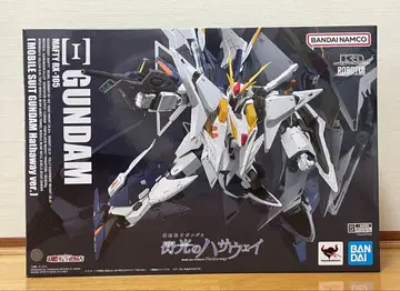 ROBOT혼 크시 건담 기동전사 건담 섬광의 하사웨이 Ver.