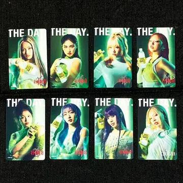 최신작 HANA x 바디멘테 전 8종 컴플리트 세트