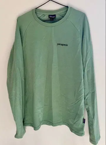 patagonia 민트 그린 롱 슬리브 백 프린트 사양 초특가
