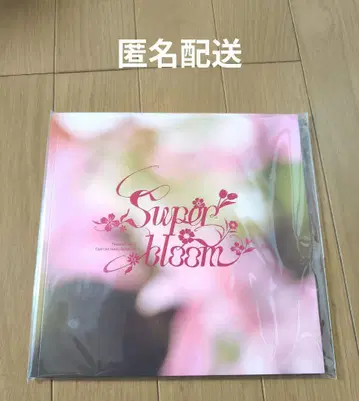 앙스타 스타포니 티켓 굿즈 별책 팜플렛