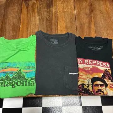 파타고니아 t셔츠 3종 세트