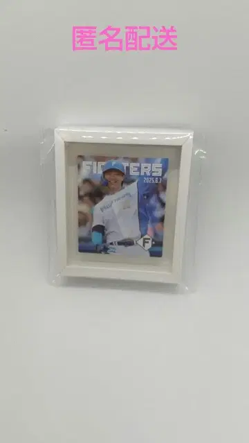 파이터즈 프레임 마그넷 (2025.6.7 야마자키 후쿠야)