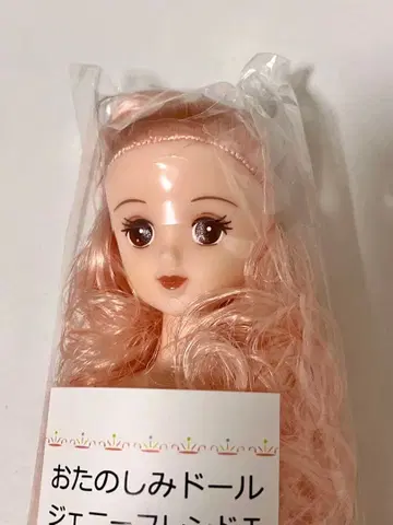 티모테 제니 프렌드 T 오타노시미 인형 리카짱 캐슬