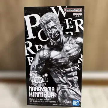 나카야마킨니군 피규어 실버