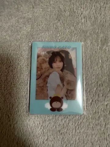 카토 시호 시스루 카드 컴플리트 세트