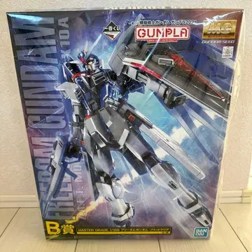 MG 프리덤 건담 X10A 1/100