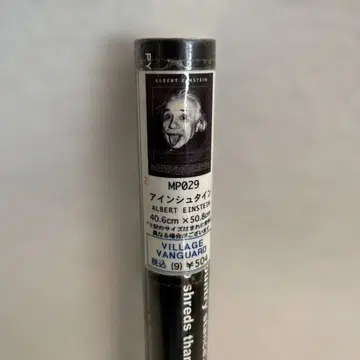 아인슈타인 포스터