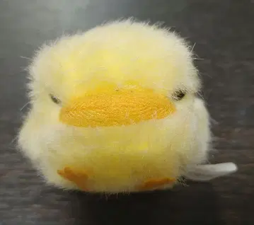 히버드 봉제 인형