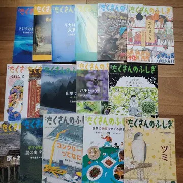 수많은 불가사의 그림책 시리즈 모음 16권