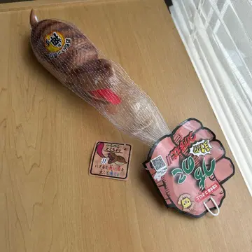 땅굴 도마뱀 잡았다 땅굴 도마뱀 완구 선스마일