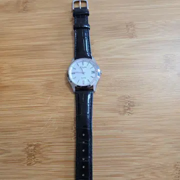 시티즌 EXCEED(엑시드) 에코 드라이브 전파 시계 EAG74-2941