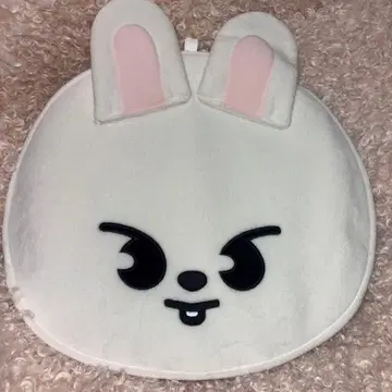 Stray Kids 리노 Lee know 부채 케이스