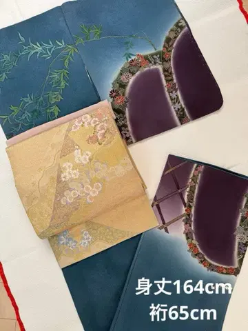 호몬기 시츠케츠 미착용