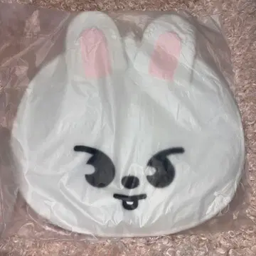 Stray kids 리노 lee know 부채 케이스