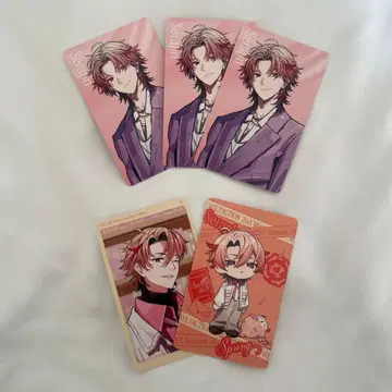 season of love 세라프 다즐 정원 세트