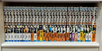 하이큐 1권 ~ 30권 + 공식 가이드북 (31권 세트)