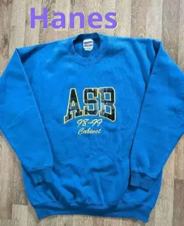 Hanes 헤인즈 남성용 맨투맨 트레이닝복 90년대 구제 의류