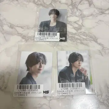 이케다 마사시 IKMS D상 마그넷 스티커