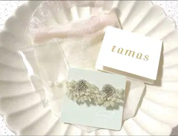 tamas 타마스/Many world TypeB / Citrus 귀걸이