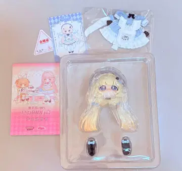 당지수 100% 슈가 100% 망고 브륄레 앨리스