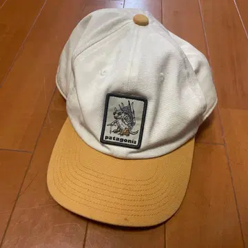patagonia 화이트 베이지 캡