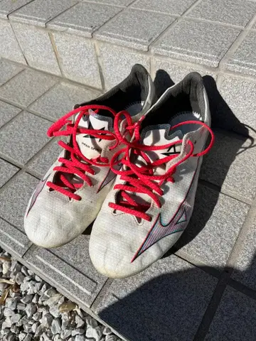 미즈노 알파 재팬 25.5cm