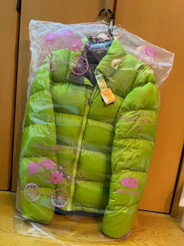 patagonia 남성용 다운 자켓 S 사이즈 라이트 그린