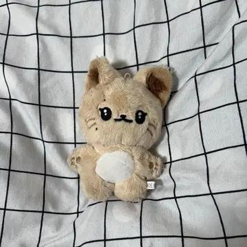 kep1er 영은 봉제 인형