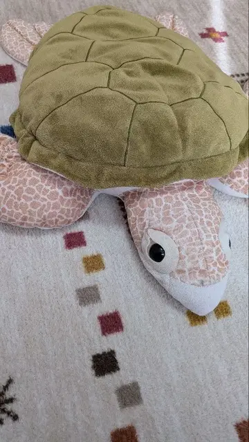 리얼 바다거북 ( L) 봉제 인형 오키나와츄라우미 수족관 한정판