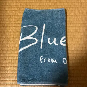 Blue Mash 타월