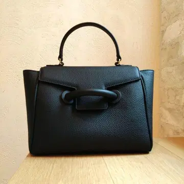 미사용 VASIC EVER MINI TOMMROWLAND 별주 블랙